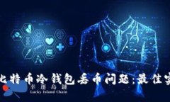 如何有效避免比特币冷钱包丢币问题：最佳实践