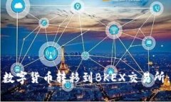 : 如何将tpWallet的数字货币转移到BKEX交易所：详细