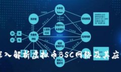 深入解析虚拟币BSC网络及其应用