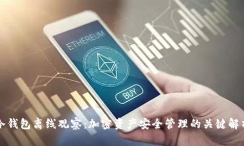 冷钱包离线观察：加密资产安全管理的关键解析