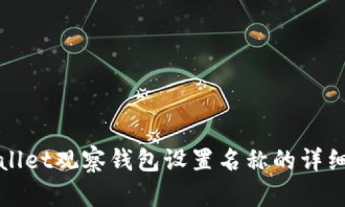 tpWallet观察钱包设置名称的详细指南