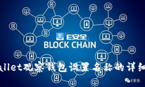 tpWallet观察钱包设置名称的详细指南