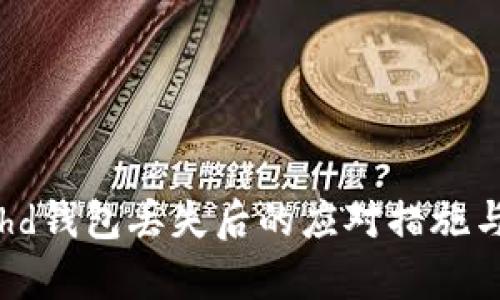 tpWallethd钱包丢失后的应对措施与预防指南
