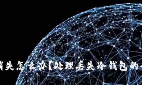 冷钱包消失怎么办？处理丢失冷钱包的全面指导