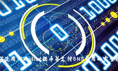 如何使用TPWallet提币并支付BNB费用的完整指南