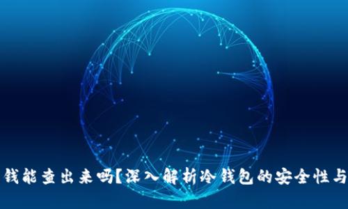 冷钱包的钱能查出来吗？深入解析冷钱包的安全性与隐私保护