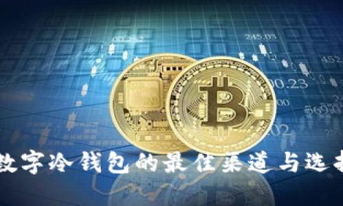 网购数字冷钱包的最佳渠道与选择指南