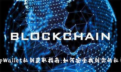 tpWallet私钥获取指南：如何安全找到你的私钥