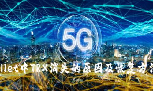 TPWallet中TRX消失的原因及恢复方法详解