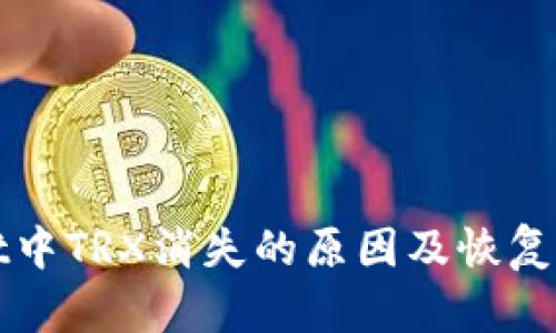 TPWallet中TRX消失的原因及恢复方法详解