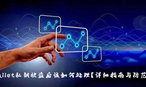 tpWallet私钥被盗后该如何处理？详细指南与防范措施