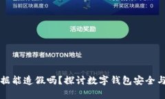 tpWallet数据能造假吗？探讨数字钱包安全与数据真