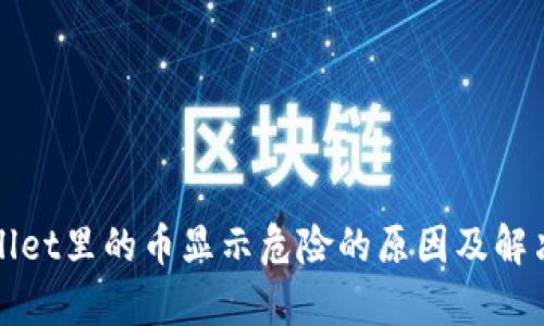 tpWallet里的币显示危险的原因及解决方案