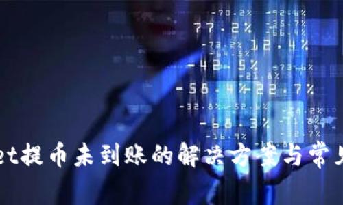 向tpWallet提币未到账的解决方案与常见问题分析