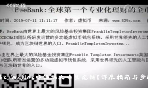 如何在tpWallet中添加火币生态链？详尽指南与步骤解析