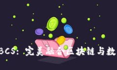 tpWallet BCS: 完美融合区块链与数字资产管理