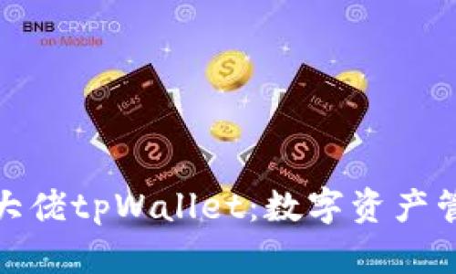 全面解析大佬tpWallet：数字资产管理新选择