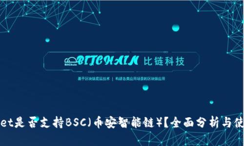 tpWallet是否支持BSC（币安智能链）？全面分析与使用指南