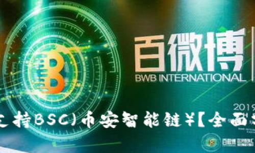 tpWallet是否支持BSC（币安智能链）？全面分析与使用指南