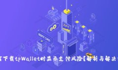 为何下载tpWallet时显示支付风险？解析与解决方案
