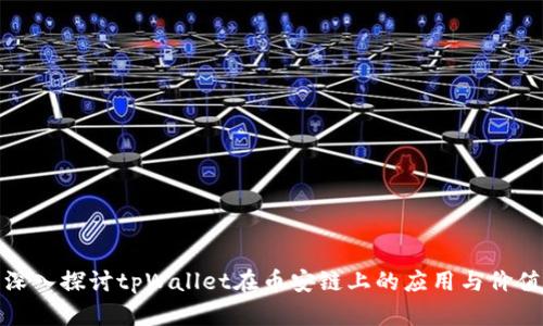 深入探讨tpWallet在币安链上的应用与价值