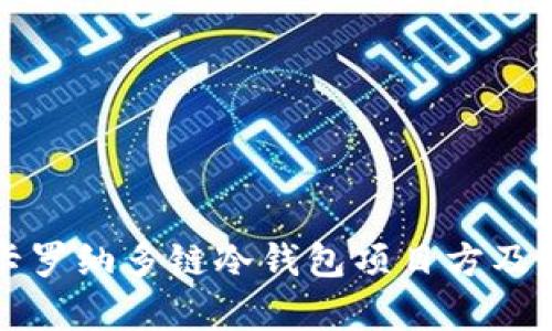 深度解析卡罗纳多链冷钱包项目方及其生态系统