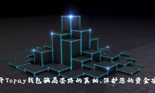揭开Topay钱包骗局套路的真相，保护您的资金安全