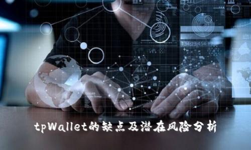 tpWallet的缺点及潜在风险分析