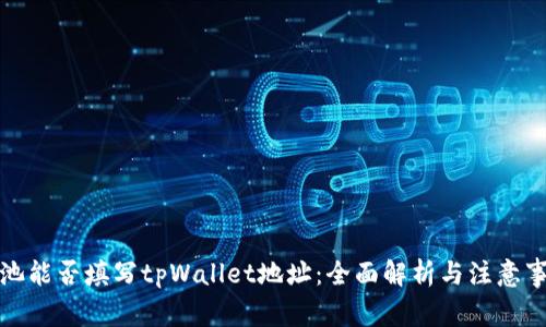 矿池能否填写tpWallet地址：全面解析与注意事项