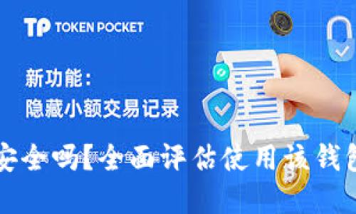 tpWallet安全吗？全面评估使用该钱包的安全性
