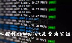 tpWallet：深入探讨tpWallet是否为公链及其相关技术