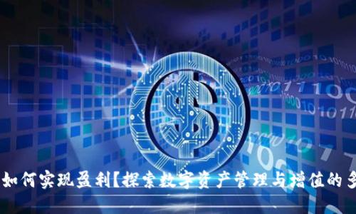 IM钱包如何实现盈利？探索数字资产管理与增值的多种方式