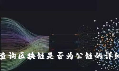 如何查询区块链是否为公链的详细指南