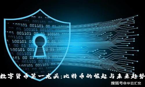 数字货币第一龙头：比特币的崛起与未来趋势