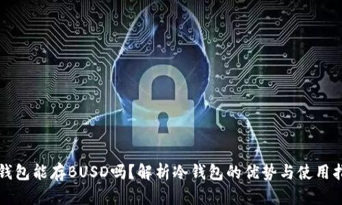 冷钱包能存BUSD吗？解析冷钱包的优势与使用指南