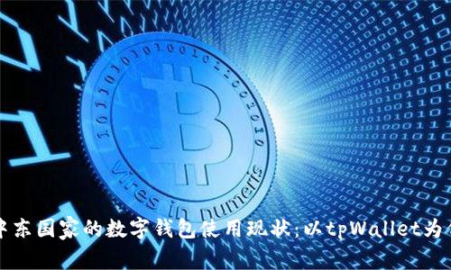 中东国家的数字钱包使用现状：以tpWallet为例