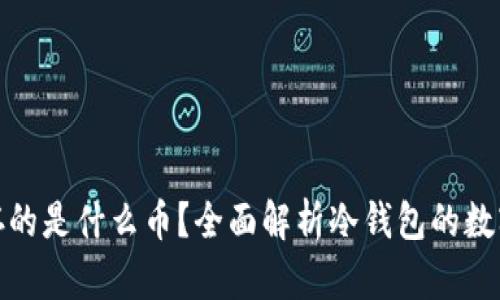 冷钱包里存的是什么币？全面解析冷钱包的数字货币存储