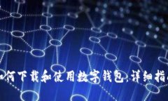如何下载和使用数字钱包：详细指南