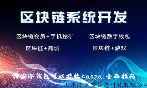 哪些冷钱包可以接收Kaspa：全面指南