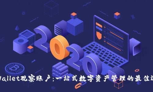 tpWallet观察账户：一站式数字资产管理的最佳选择