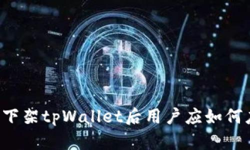 美国下架tpWallet后用户应如何应对？