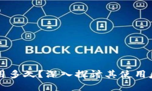 tpWallet还能用多久？深入探讨其使用寿命与未来发展