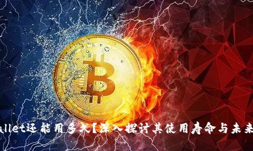 tpWallet还能用多久？深入探讨其使用寿命与未来发展