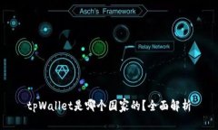tpWallet是哪个国家的？全面解析