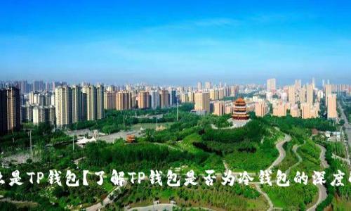 什么是TP钱包？了解TP钱包是否为冷钱包的深度解析