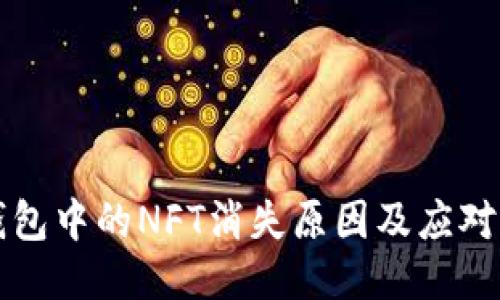 冷钱包中的NFT消失原因及应对指南