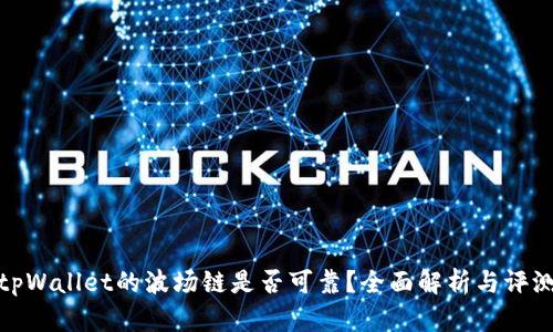 tpWallet的波场链是否可靠？全面解析与评测