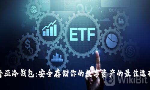 奇亚冷钱包：安全存储你的数字资产的最佳选择