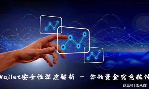 币圈tpWallet安全性深度解析 - 你的资金究竟托付给了谁？