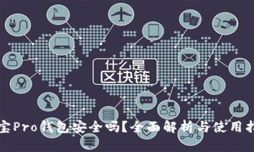 波宝Pro钱包安全吗？全面解析与使用指南